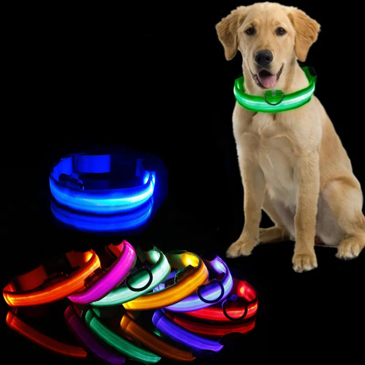 Led Dog Collar Light Anti-lost Collar