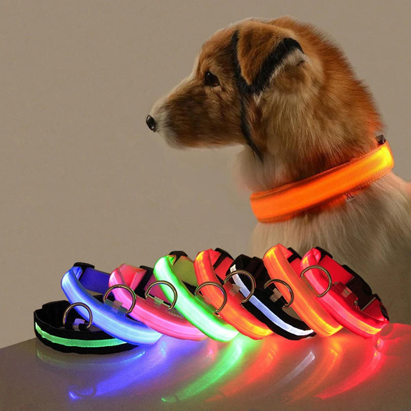 Led Dog Collar Light Anti-lost Collar