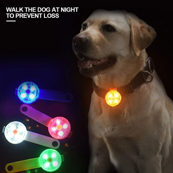 Dogs Collars Waterproof Safety LED