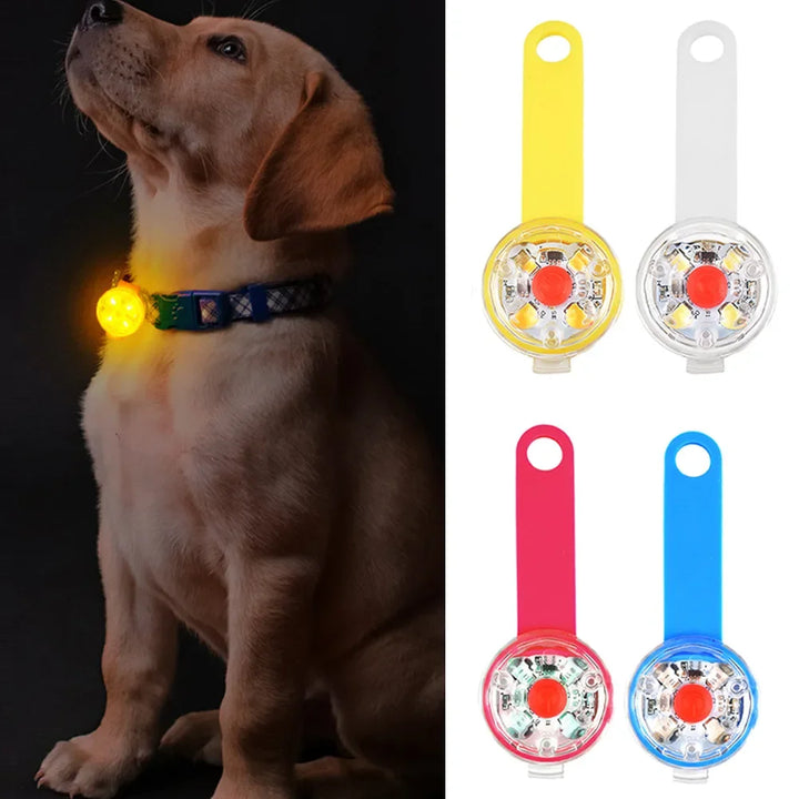 Dogs Collars Waterproof Safety LED