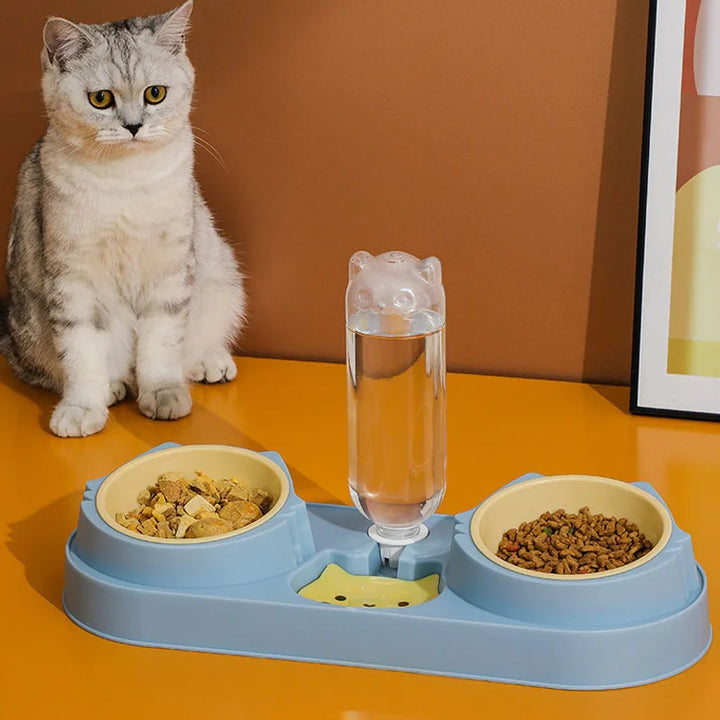 Dog Cat Bowls with Water Dispenser