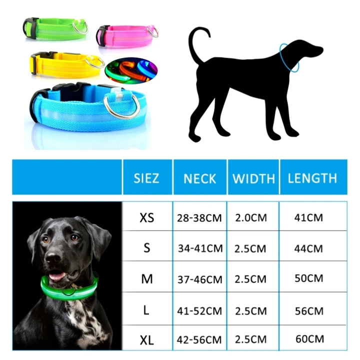 Led Dog Collar Light Anti-lost Collar