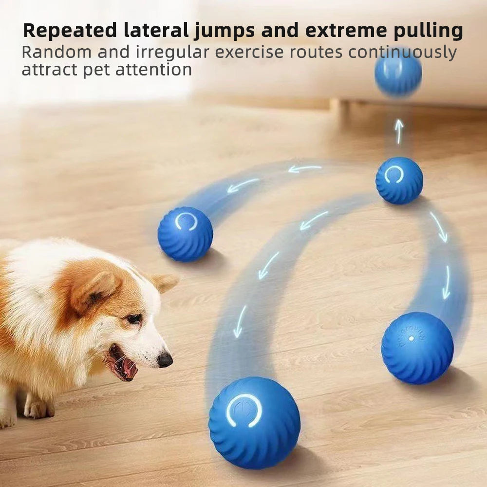 Smart Dog Toy Ball Electronic