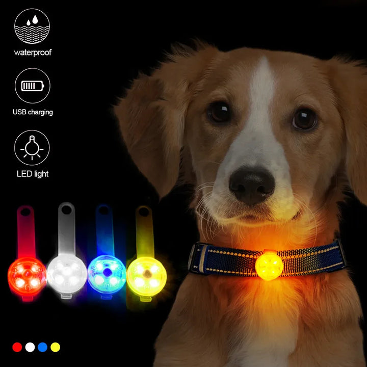 Dogs Collars Waterproof Safety LED