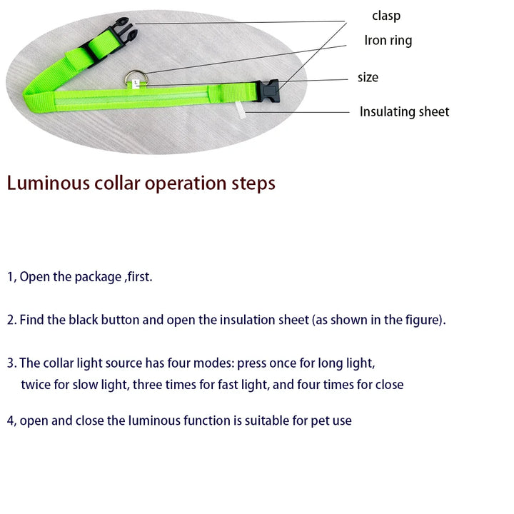 LED Night Safety Flashing Glow