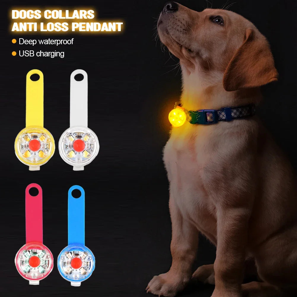 Dogs Collars Waterproof Safety LED