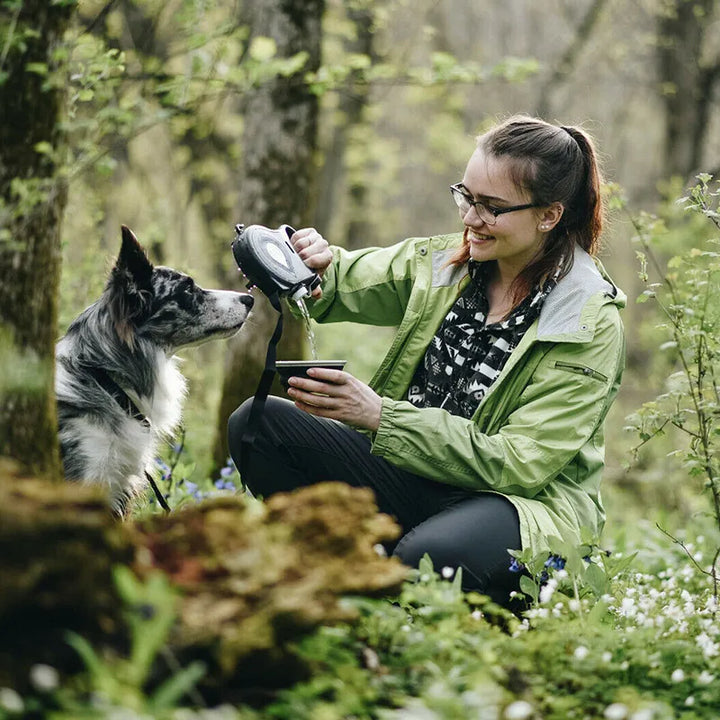 Pet Dog Leash