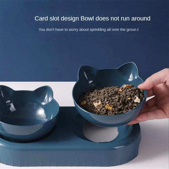 Dog Cat Bowls with Water Dispenser