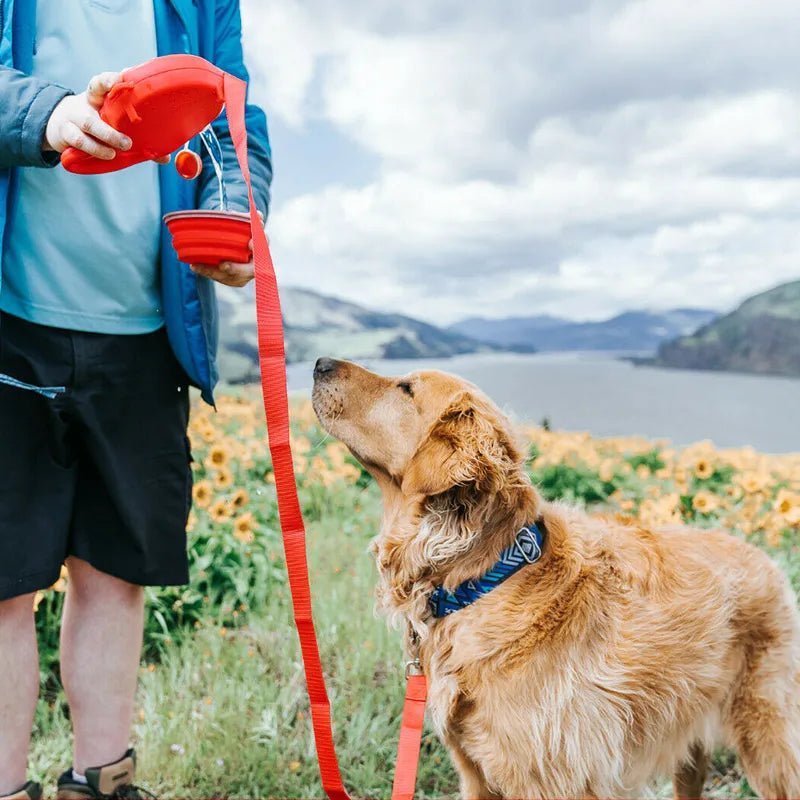 Pet Dog Leash