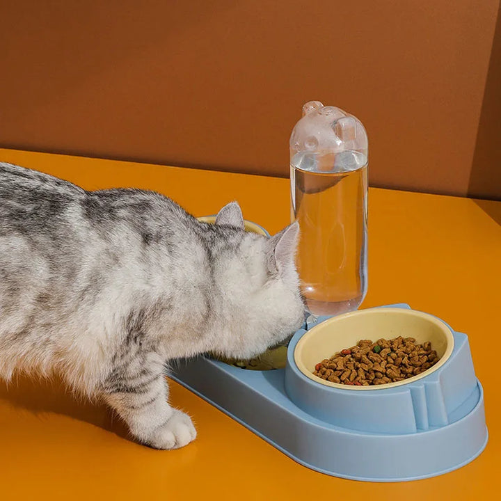 Dog Cat Bowls with Water Dispenser