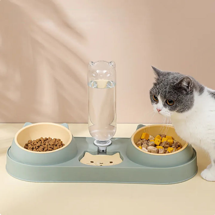 Dog Cat Bowls with Water Dispenser