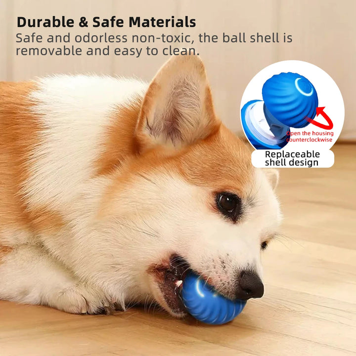 Smart Dog Toy Ball Electronic