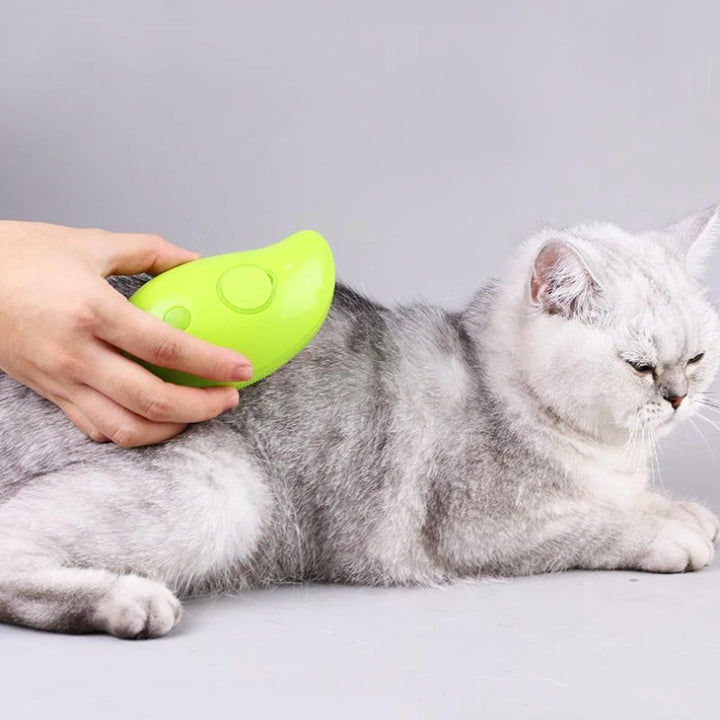 Cat Steam Brush Electric Spray Water